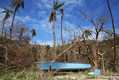 Cyclone Winston : Fiji : 2016 : News : Photos : Richard Moore : Photographer